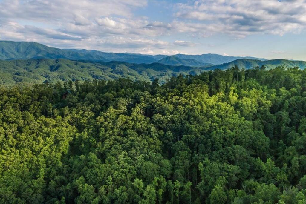 View! Private! Hot Tub,Pool Table,Fireplace,Relax! Sevierville Eksteriør billede