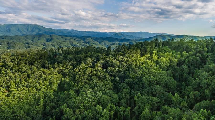 View! Private! Hot Tub,Pool Table,Fireplace,Relax! Sevierville Eksteriør billede